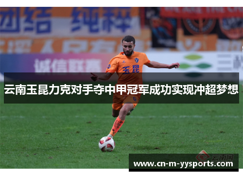 云南玉昆力克对手夺中甲冠军成功实现冲超梦想