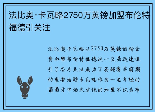 法比奥·卡瓦略2750万英镑加盟布伦特福德引关注